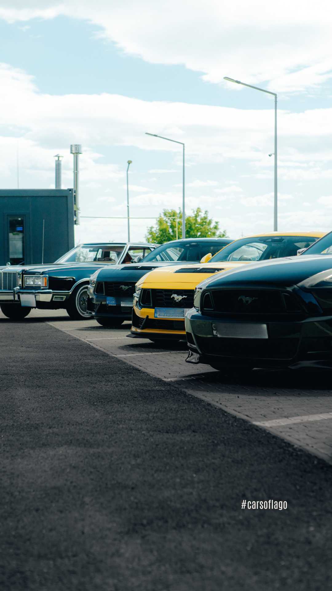 Cars of Lago 14