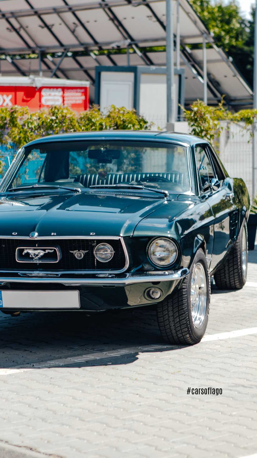 Cars of Lago 05