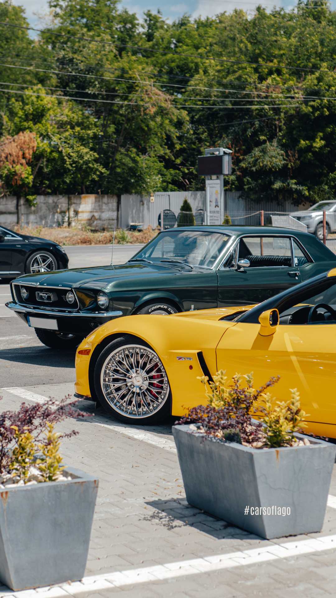 Cars of Lago 08